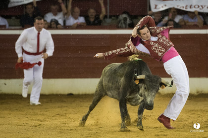 Mont-de-Marsan festival Art et Courage