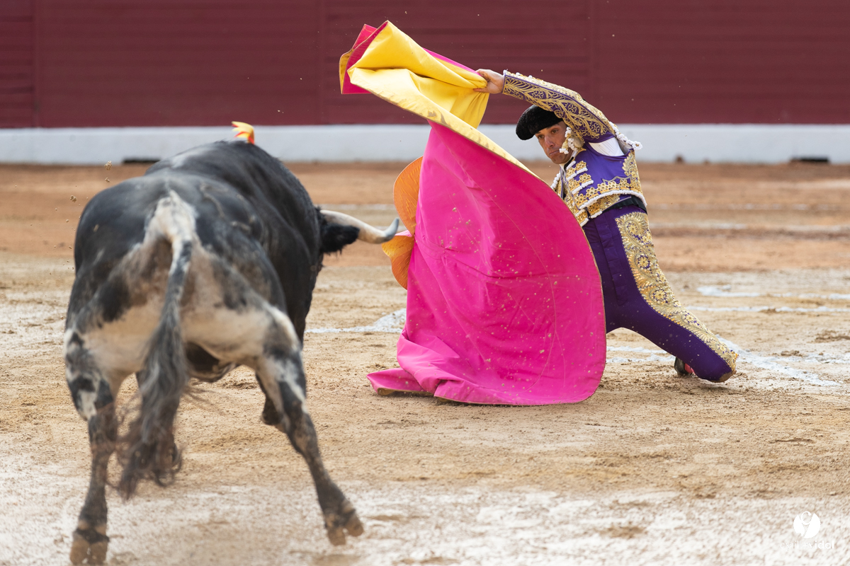 Corrida d'Aire sur l'Adour