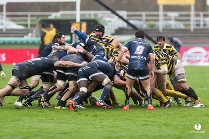 Stade Montois Rugby - Colomiers