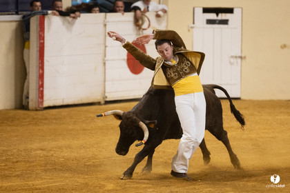 Horsarrieu course landaise du boléro d'Argent