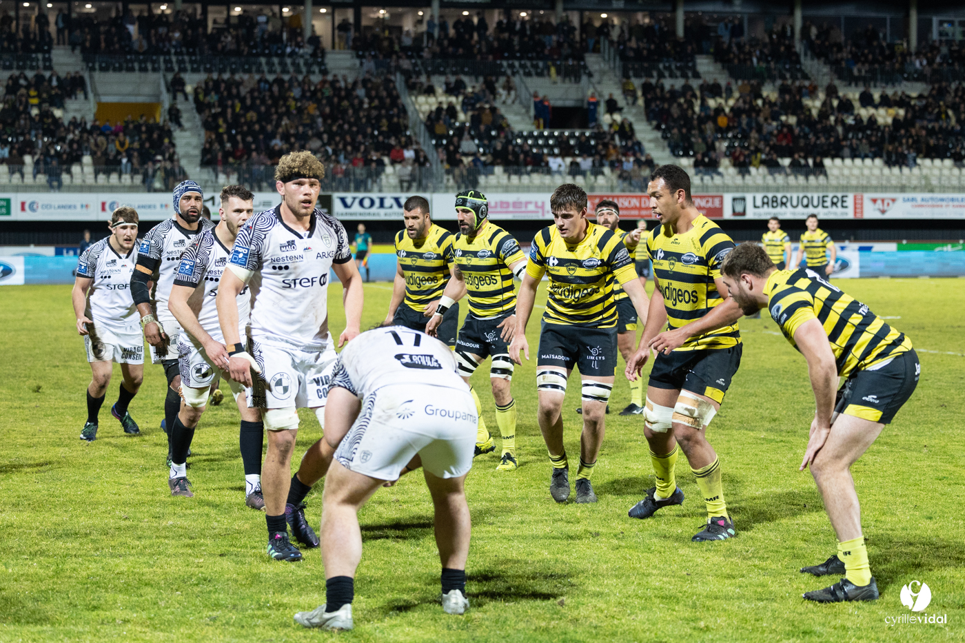 Stade Montois Rugby - Vannes