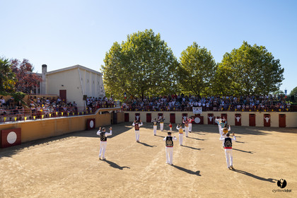 Course landaise