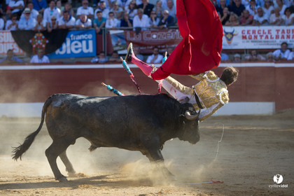Mont-de-Marsan corrida d'Adolfo Martin