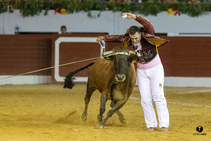 Aire sur l'Adour course landaise génération Aturine