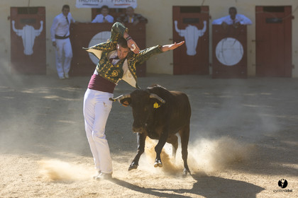 Course landaise