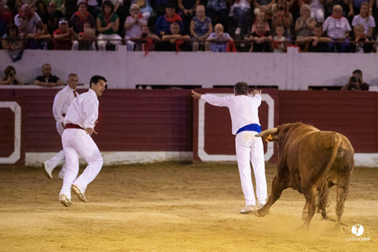 Landes émotions à Aire-sur-l'Adour