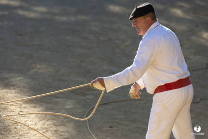 Course landaise