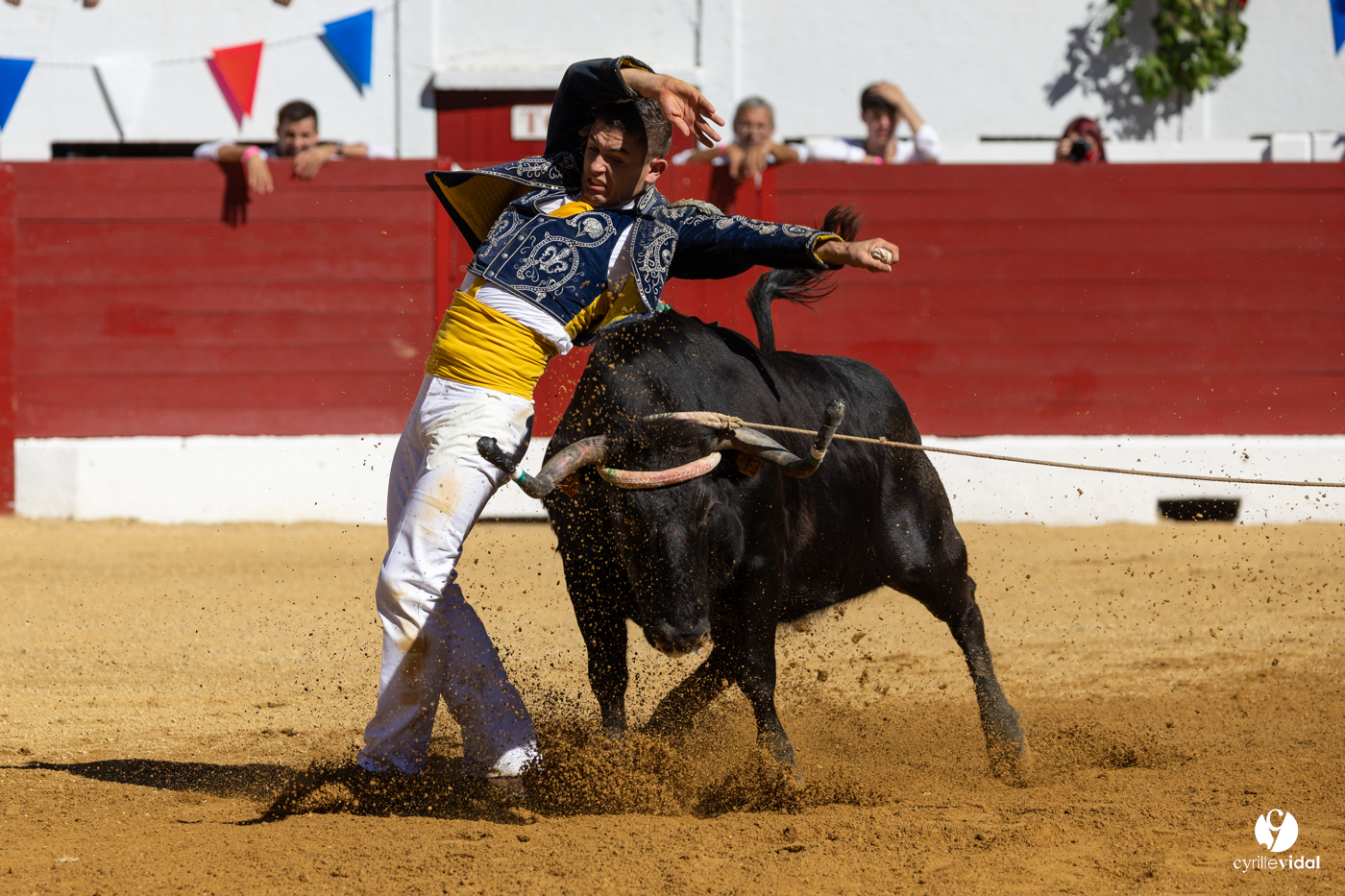 Aire-sur-l'Adour Championnat de France de course landaise 2023