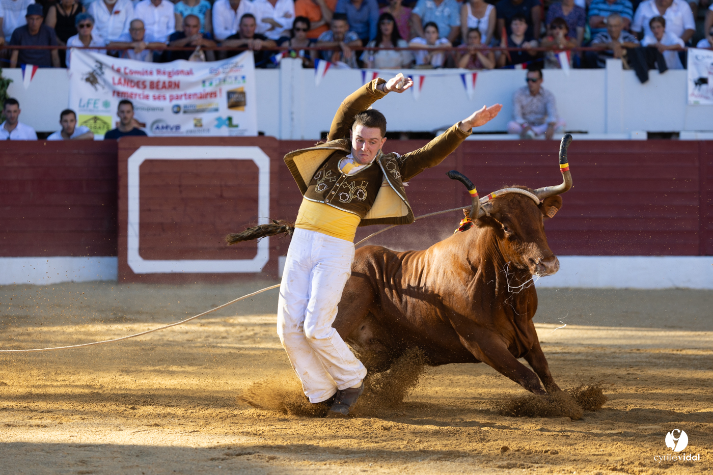 Aire-sur-l'Adour Championnat de France de course landaise 2023