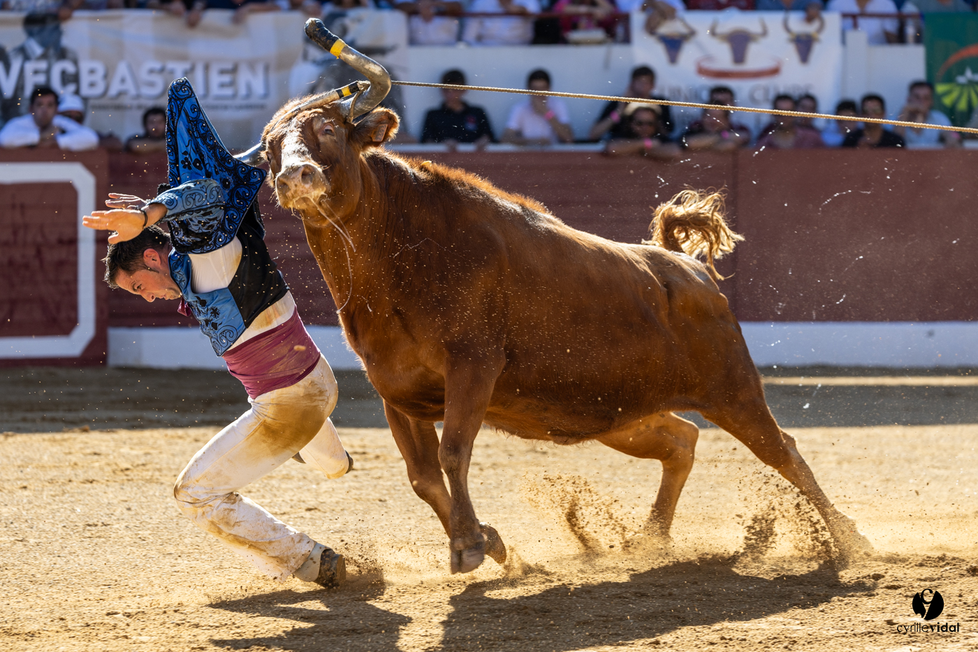 Aire-sur-l'Adour Championnat de France de course landaise 2023