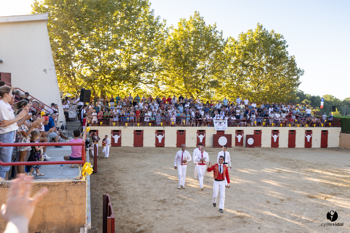 Course landaise