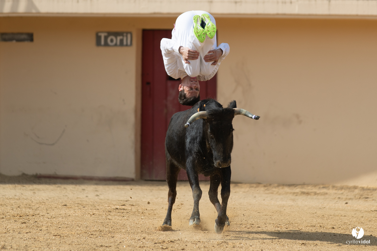 Course landaise Le Houga Ganadéria Dussau Cuadrilla Alexandre Brethes