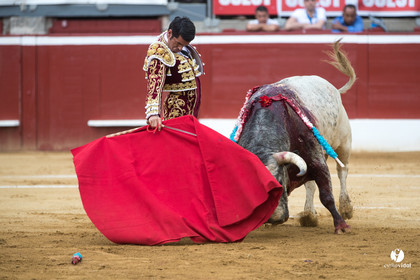 Mont-de-Marsan corrida de la Quinta pour Juan Bautista - Emilio de Justo - Thomas DUFAU