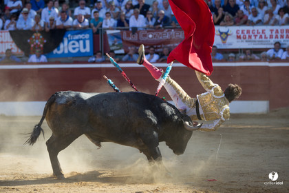 Mont-de-Marsan corrida d'Adolfo Martin