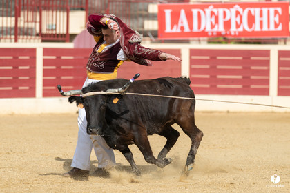 Course landaise Le Houga Ganadéria Dussau Cuadrilla Alexandre Brethes