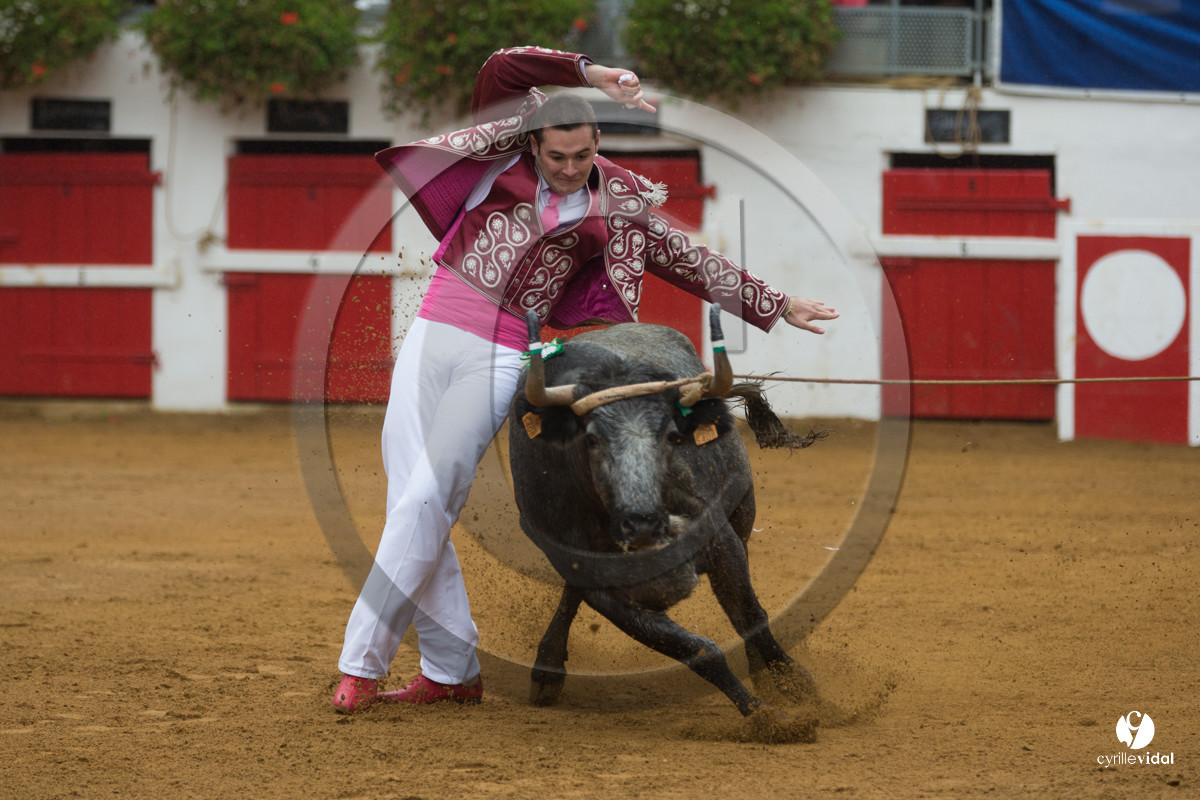 Nogaro Championnatde France de Course Landaise 2017