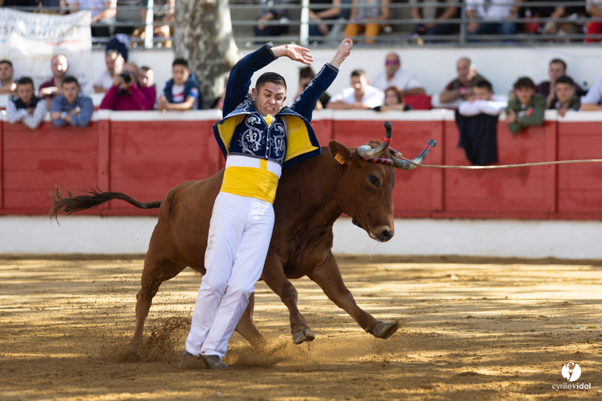 Nogaro Championnat de France de course landaise 2022