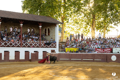 2023-08-08-1611.jpg