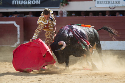 corrida, toro, vic fezensac, alcurrucen, michelito, morenito de aranda