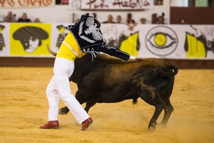 1290.jpg