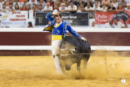 Dax concours landais 2022