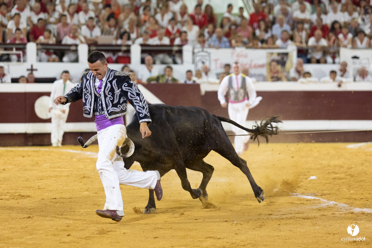 Dax concours landais 2022