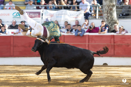 Nogaro Championnat de France de course landaise 2022
