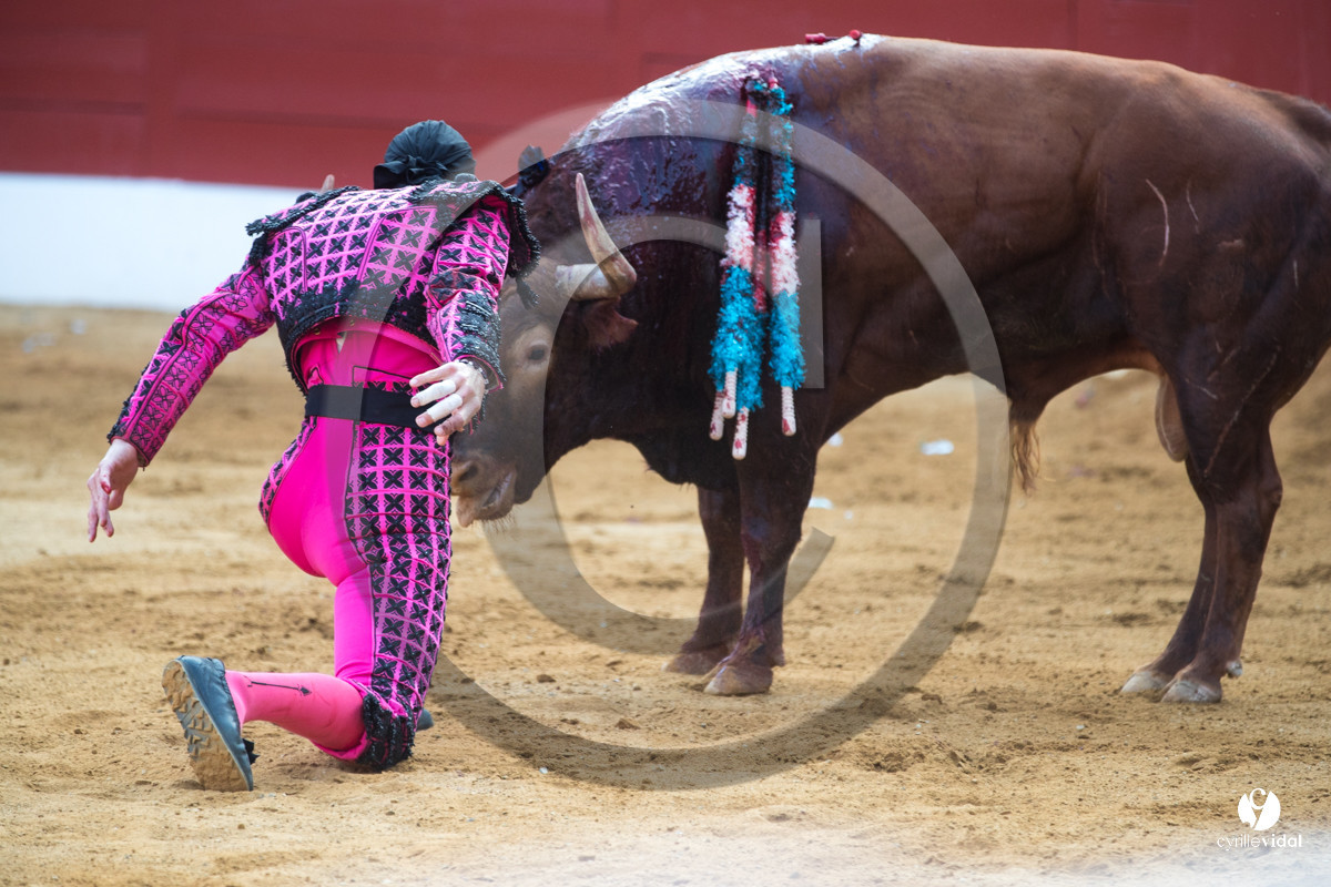 Mont-de-Marsan corrida de Jandilla pour Padilla - Talavante - Roca Rey