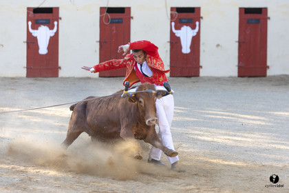 Course landaise