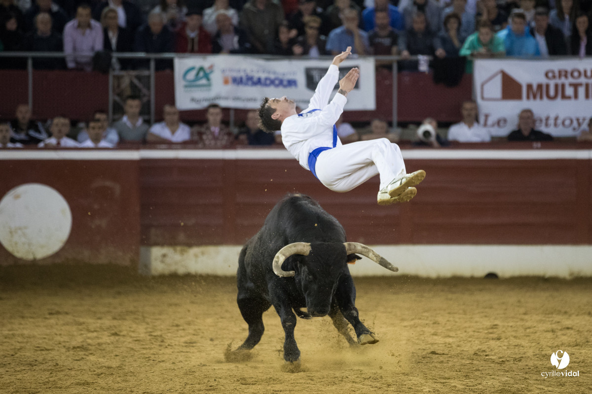 Mont-de-Marsan festival Art et Courage