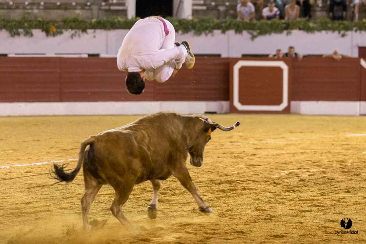 Aire sur l'Adour course landaise génération Aturine