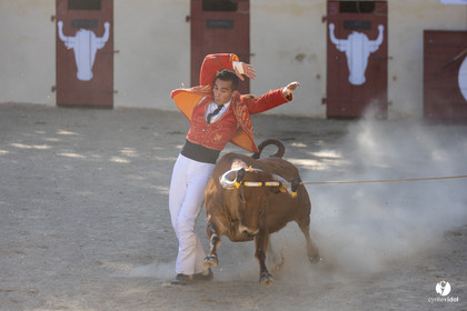 Course landaise