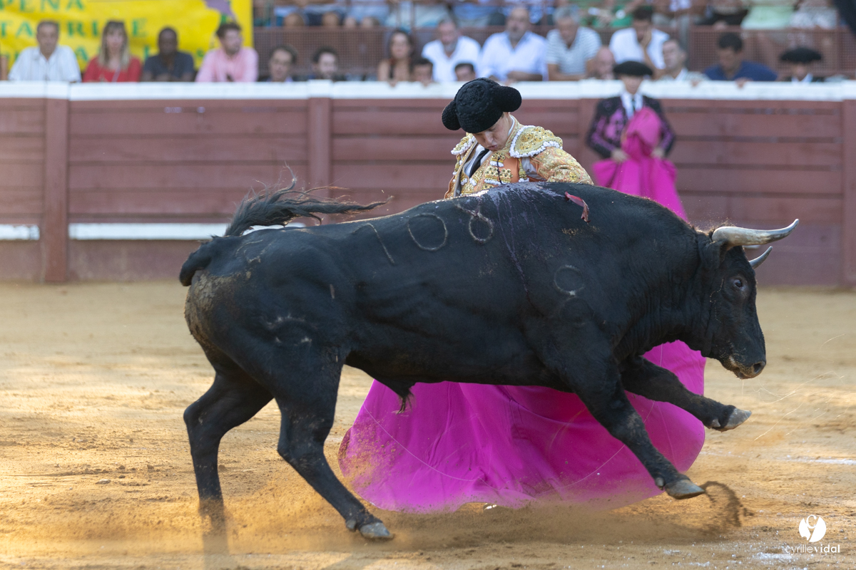 Corrida de Villeneuve-de-Marsan
