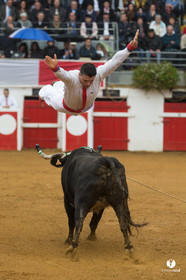 Nogaro Championnatde France de Course Landaise 2017