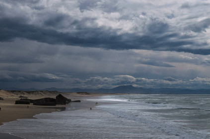 Paysages des Landes