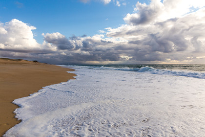 Paysages des Landes