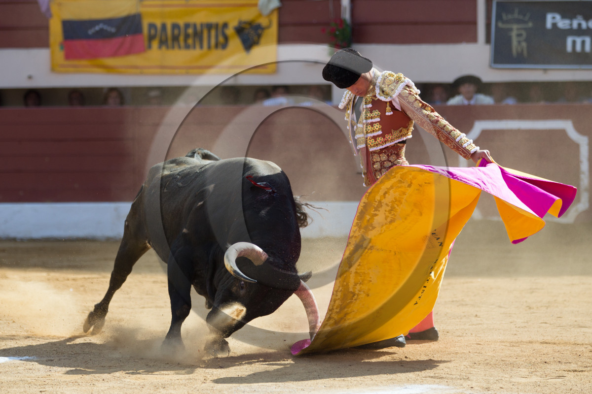 corrida, toro, vic fezensac, alcurrucen, michelito, morenito de aranda