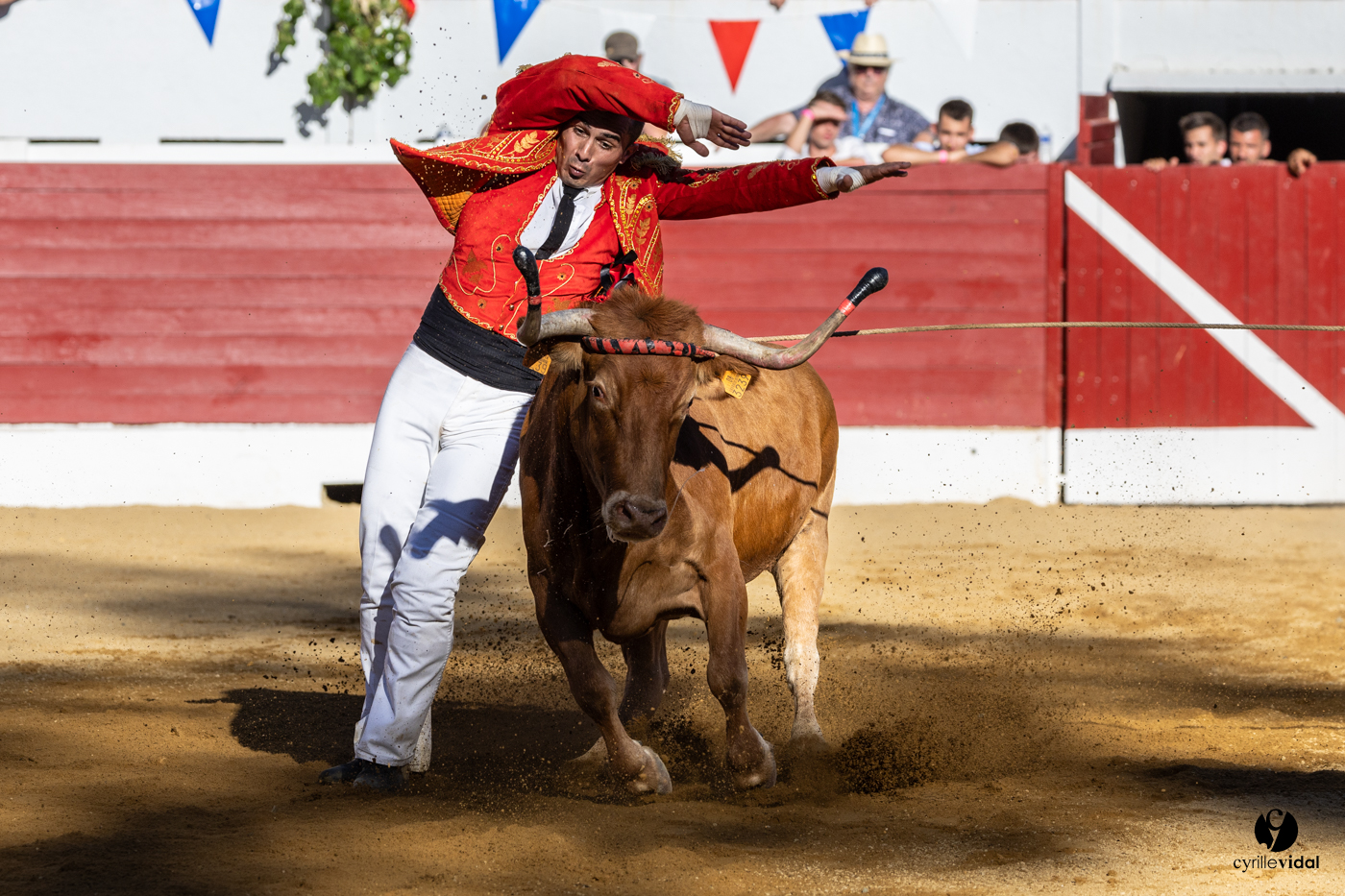Aire-sur-l'Adour Championnat de France de course landaise 2023