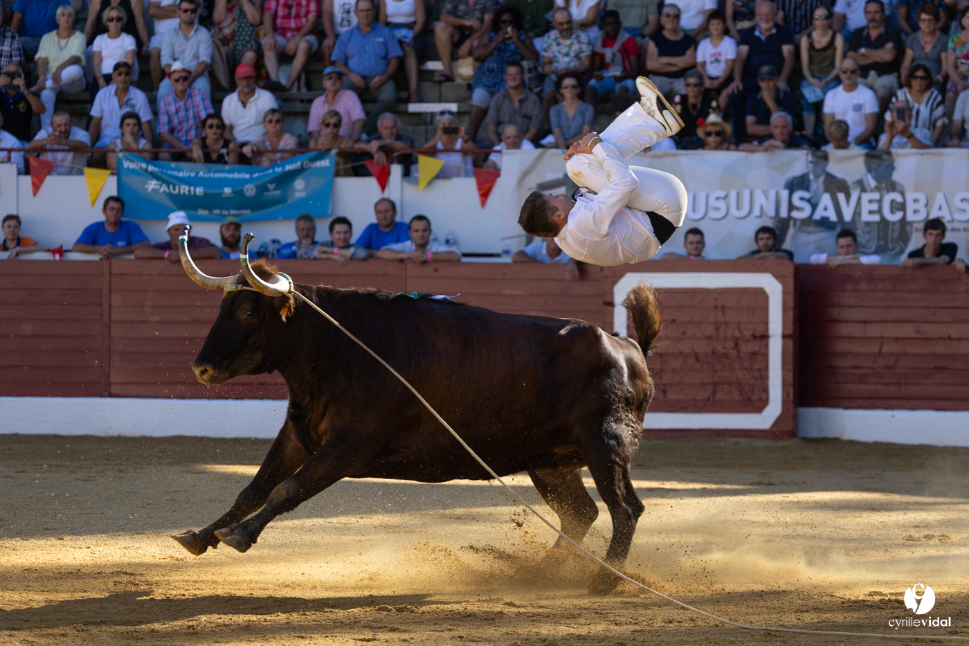 Aire-sur-l'Adour Championnat de France de course landaise 2023