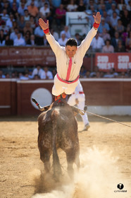 Mont-de-Marsan championnat de France de course landaise 2019