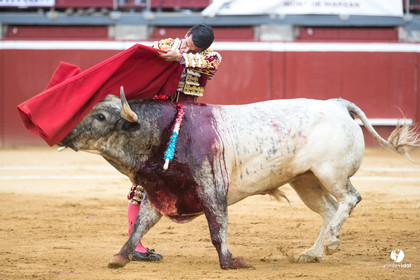 Mont-de-Marsan corrida de la Quinta pour Juan Bautista - Emilio de Justo - Thomas DUFAU