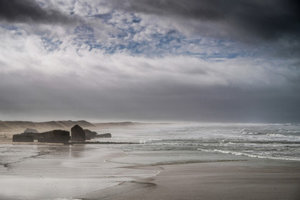Paysages des Landes