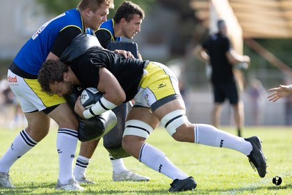 Stade Montois Rugby - Section Paloise