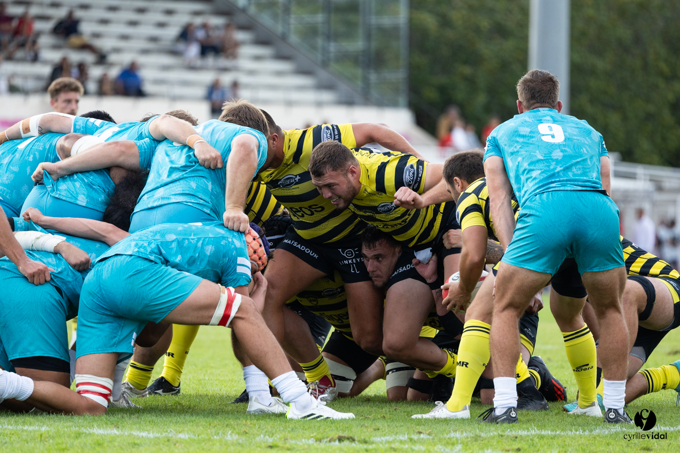 Dax - Stade Montois Rugby