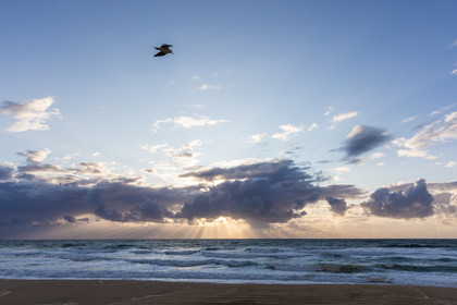 Paysages des Landes