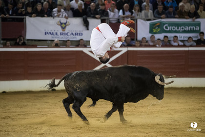 Mont-de-Marsan festival Art et Courage