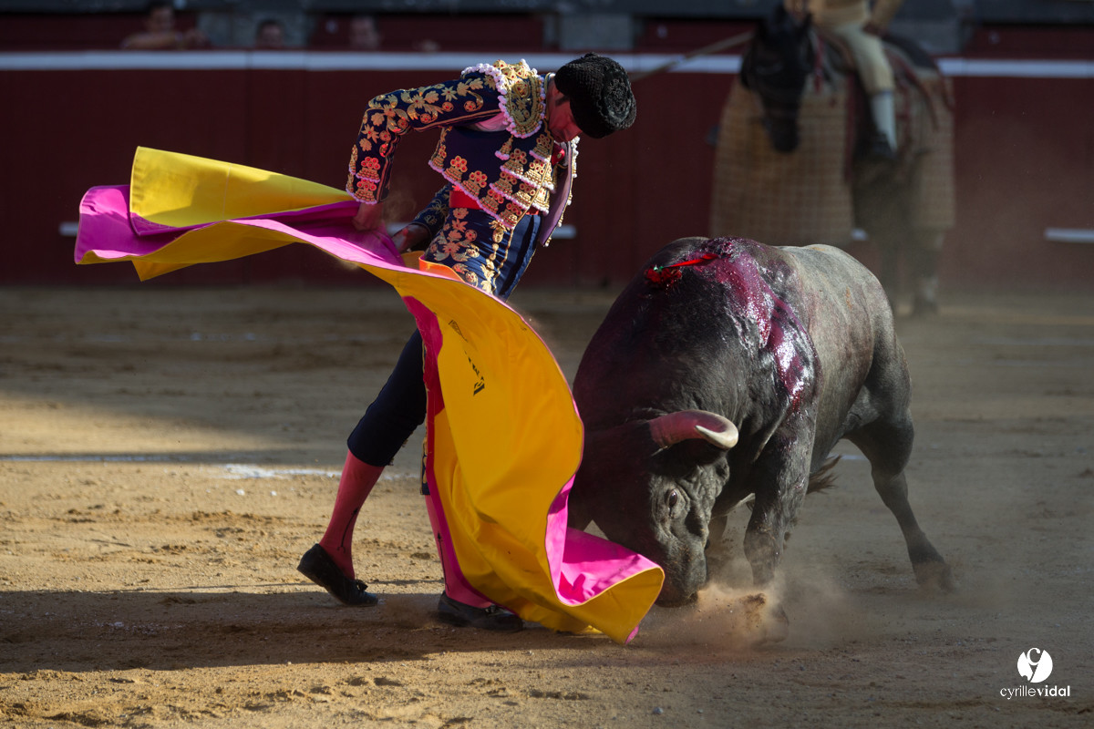 Mont-de-Marsan corrida d'Adolfo Martin