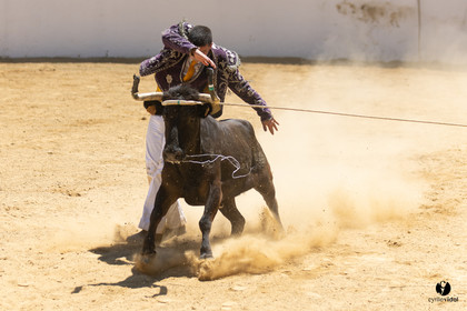 Saint-Cricq Chalosse course landaise de promotion Ganadéria Deyris Cuadrilla Jérémy Lafitte