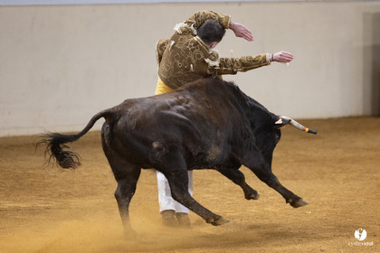 Horsarrieu course landaise du boléro d'Argent