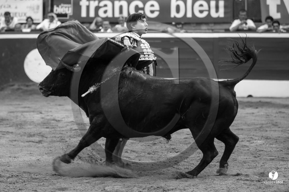 Mont-de-Marsan corrida de Jandilla pour Padilla - Talavante - Roca Rey